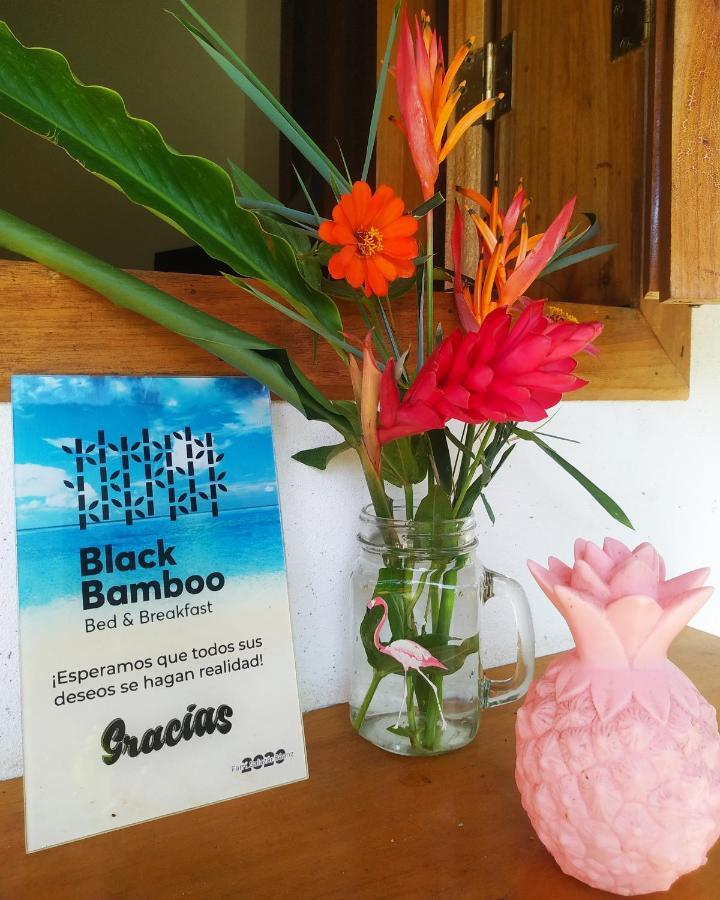 Black Bamboo Puerto Viejo de Talamanca ภายนอก รูปภาพ