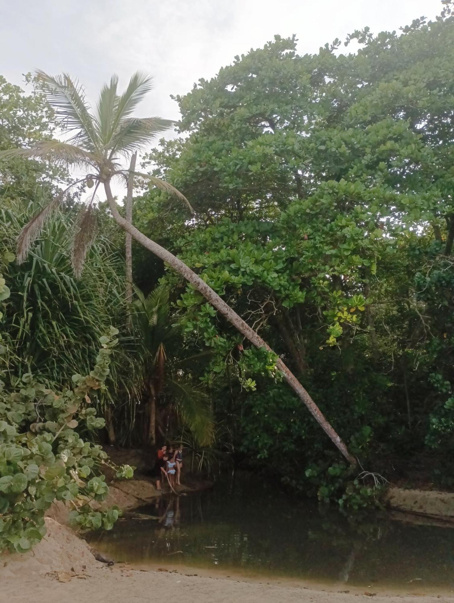 Black Bamboo Puerto Viejo de Talamanca ภายนอก รูปภาพ