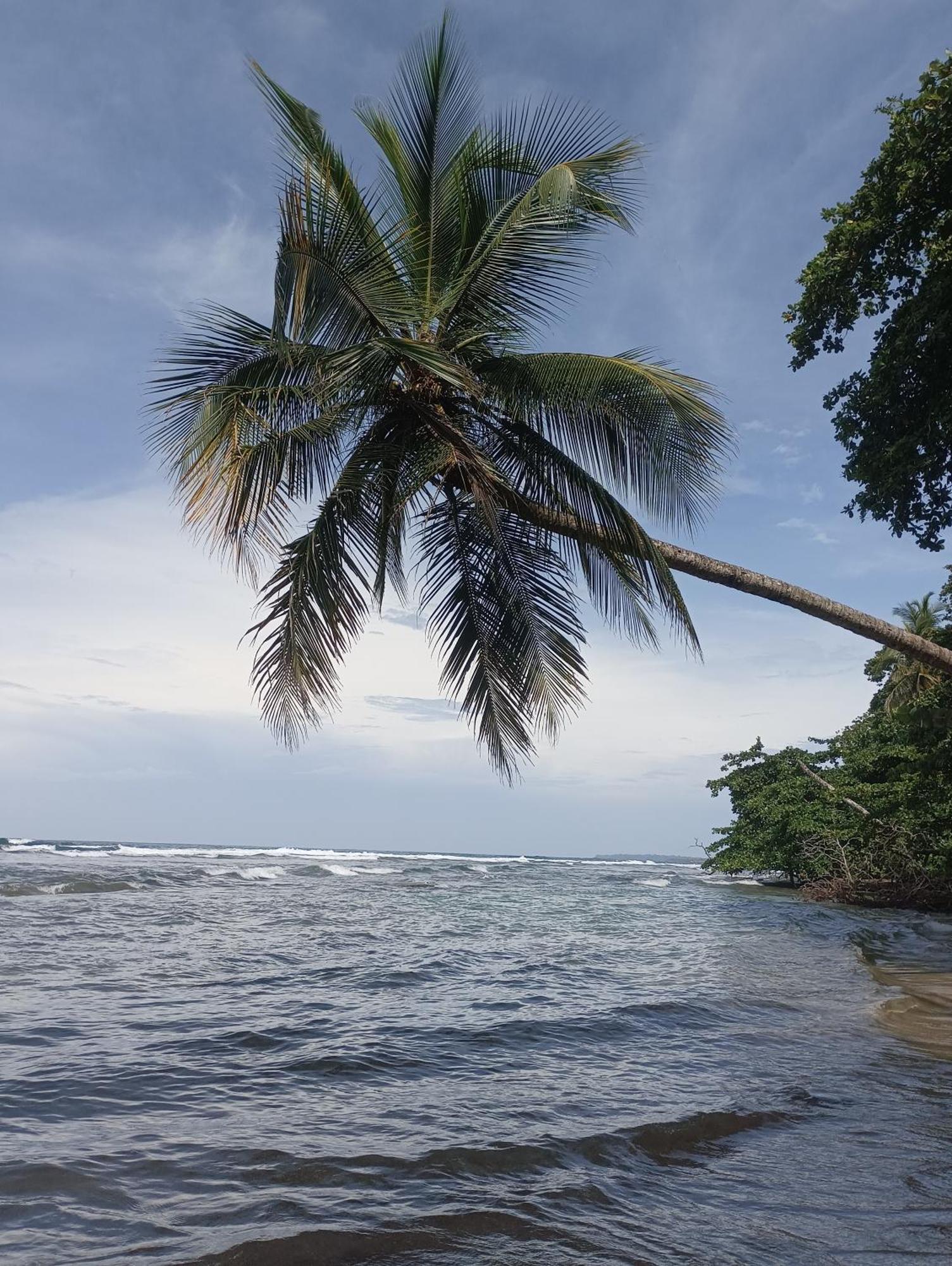 Black Bamboo Puerto Viejo de Talamanca ภายนอก รูปภาพ