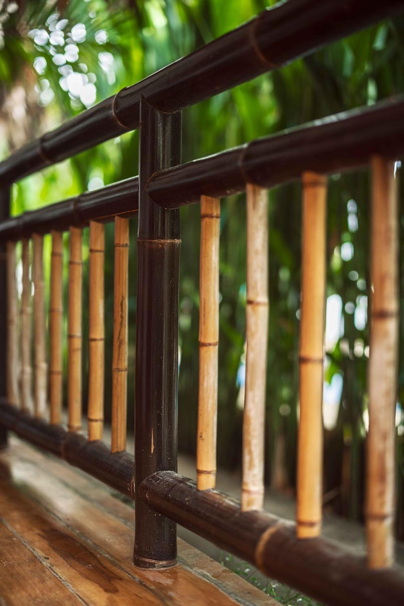 Black Bamboo Puerto Viejo de Talamanca ภายนอก รูปภาพ