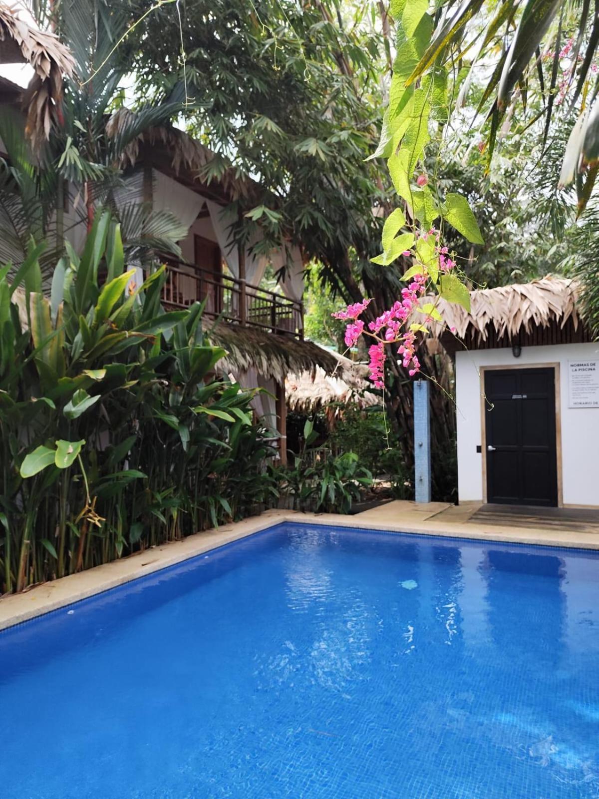Black Bamboo Puerto Viejo de Talamanca ภายนอก รูปภาพ